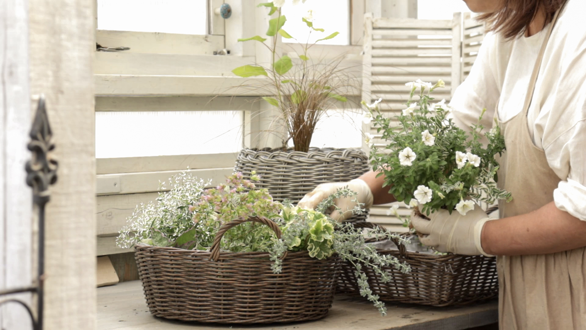 寄せ植えギャザリングを制作するGreen heart 大野桂子